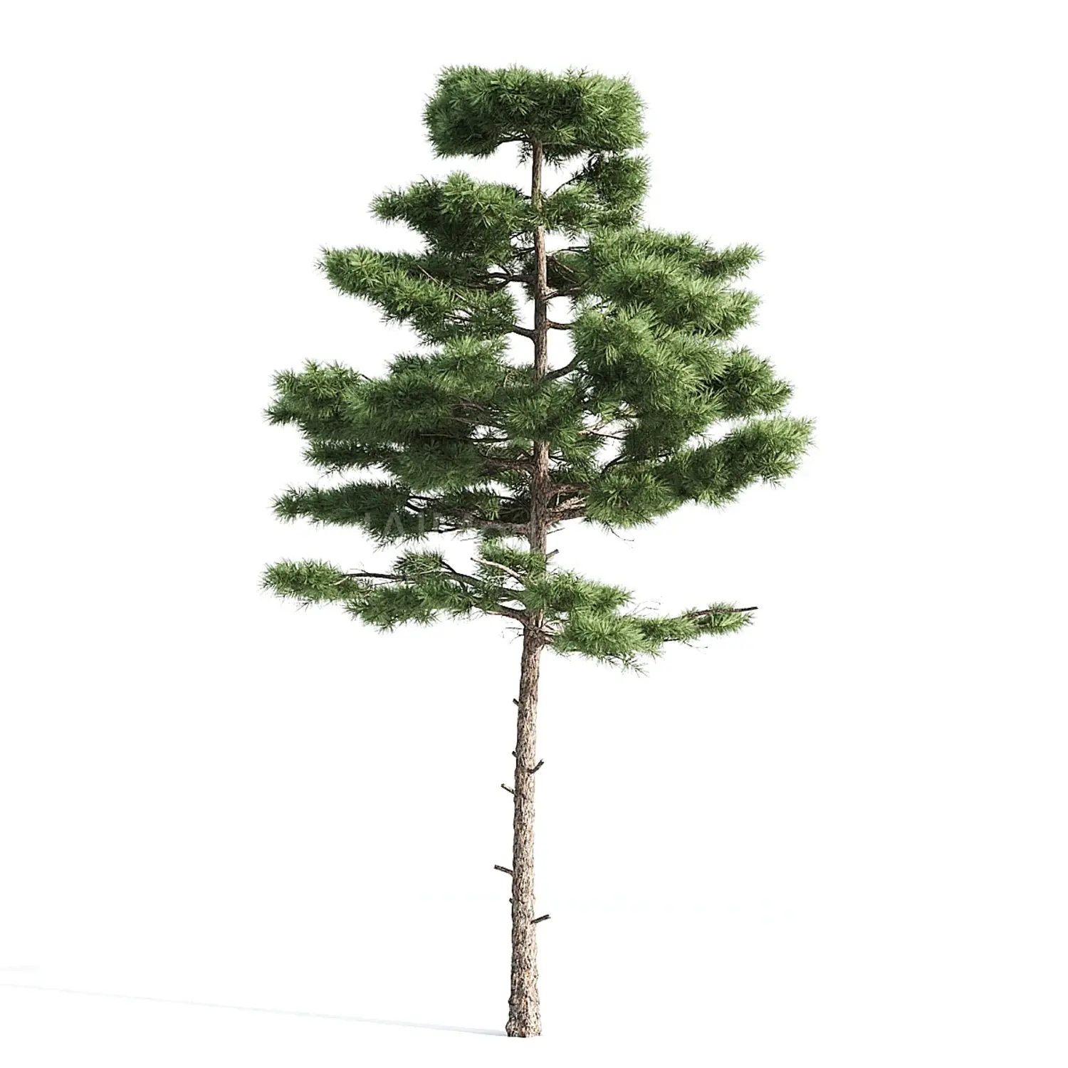img2