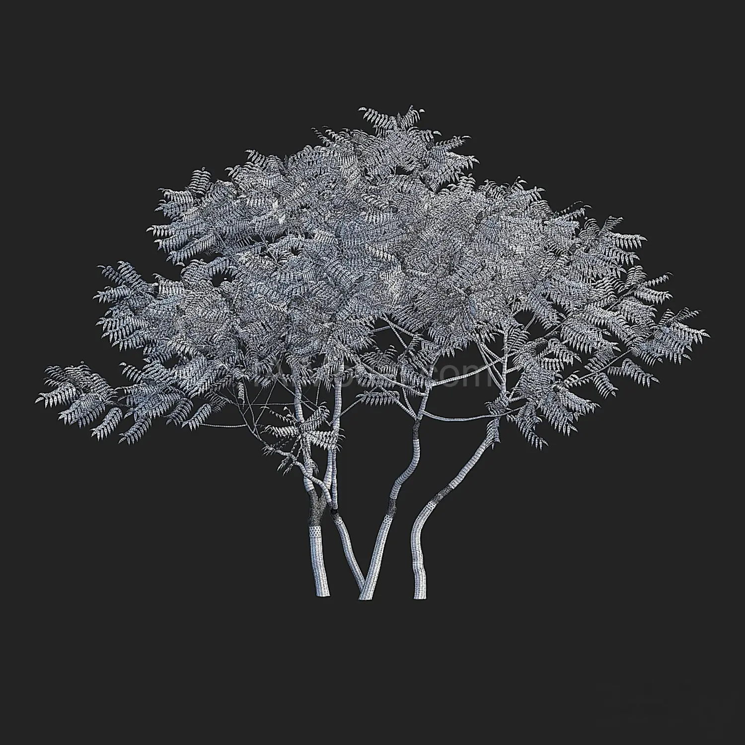 img5