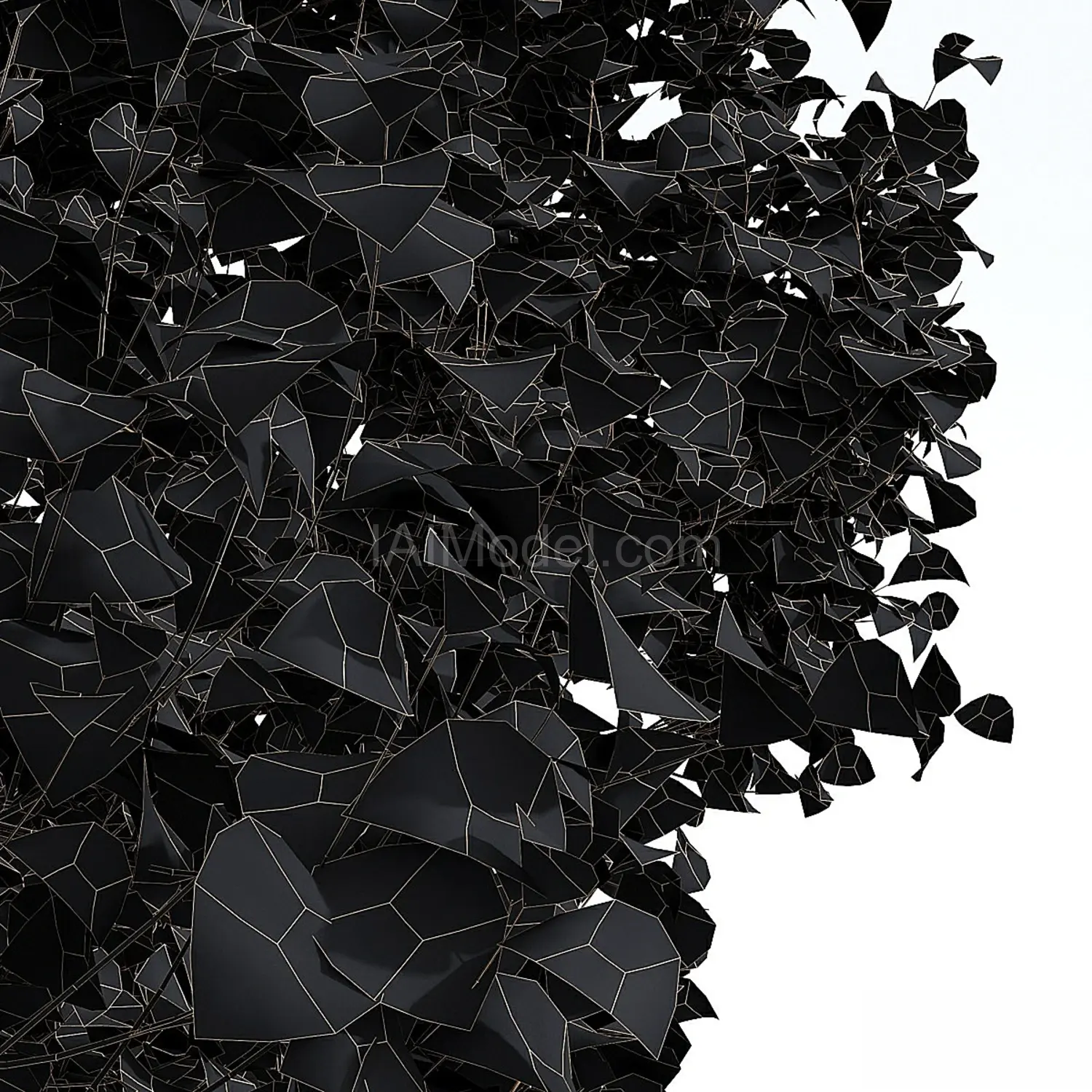 img7
