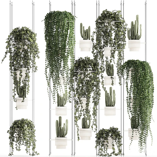 现代吊篮绿植盆栽