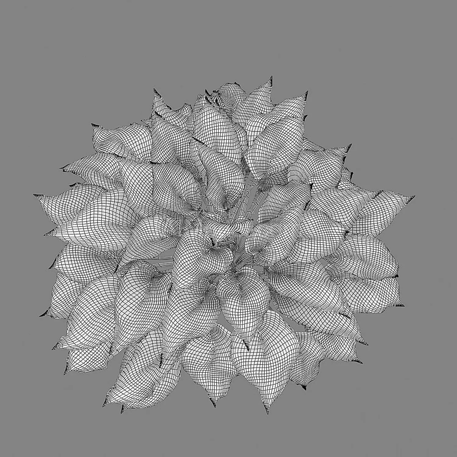 img6