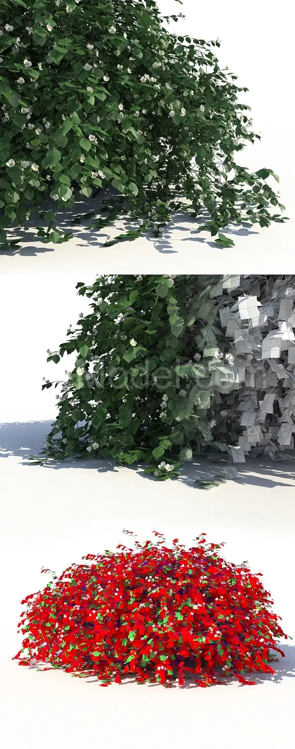 img2