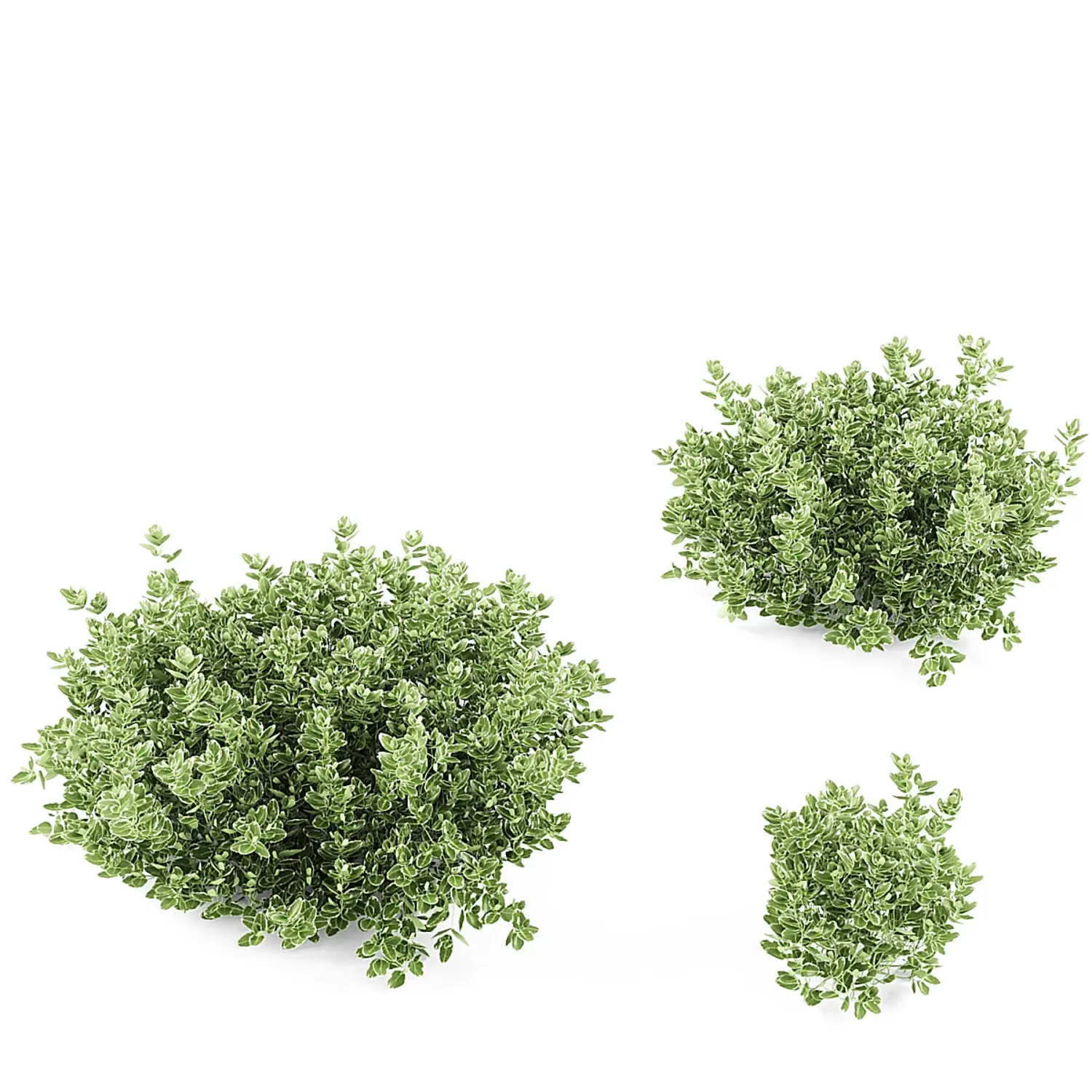 img2