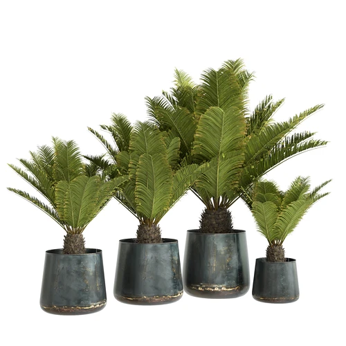 现代绿植盆栽