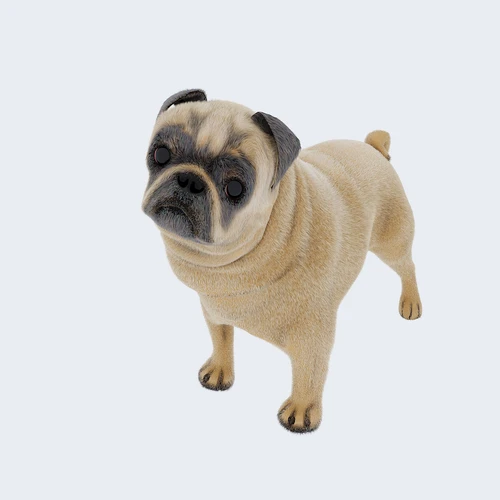 现代宠物狗