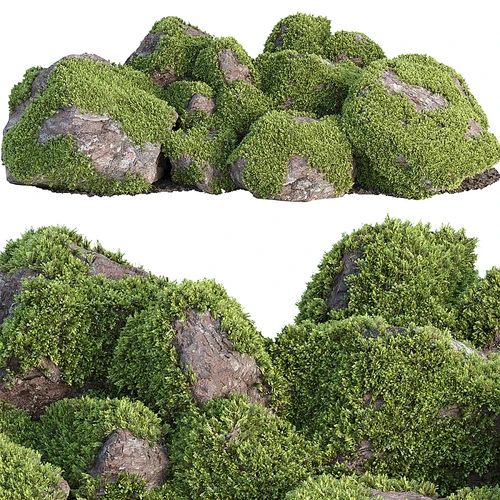 苔藓岩石