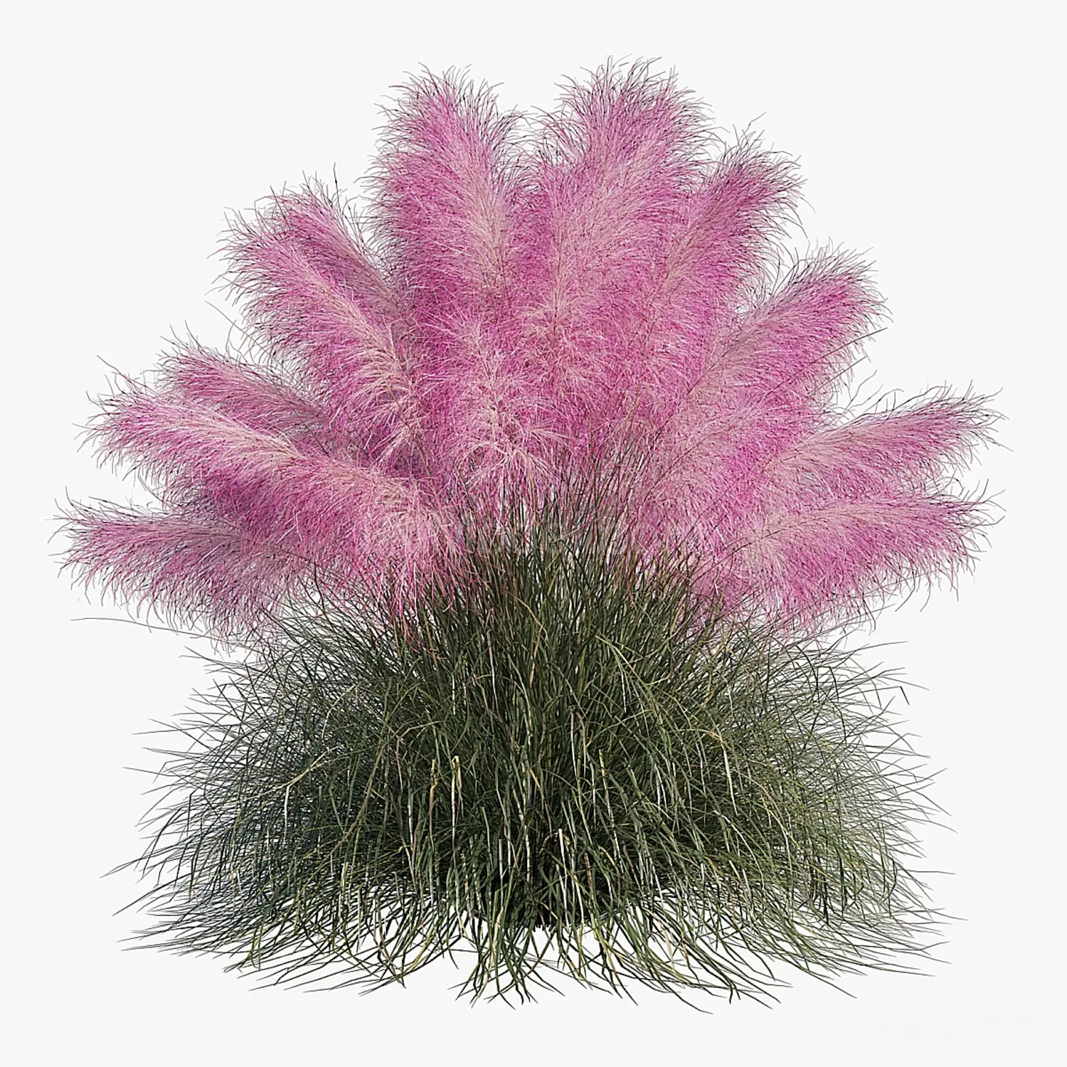 img2