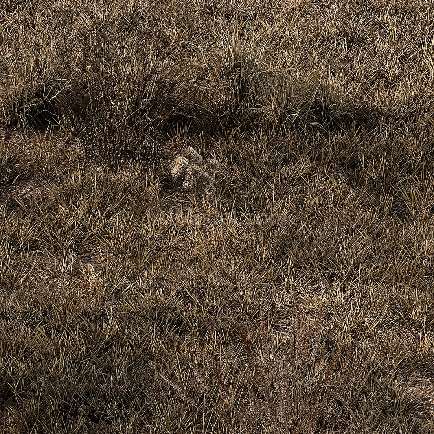 img2