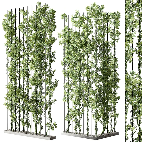 现代植物隔断