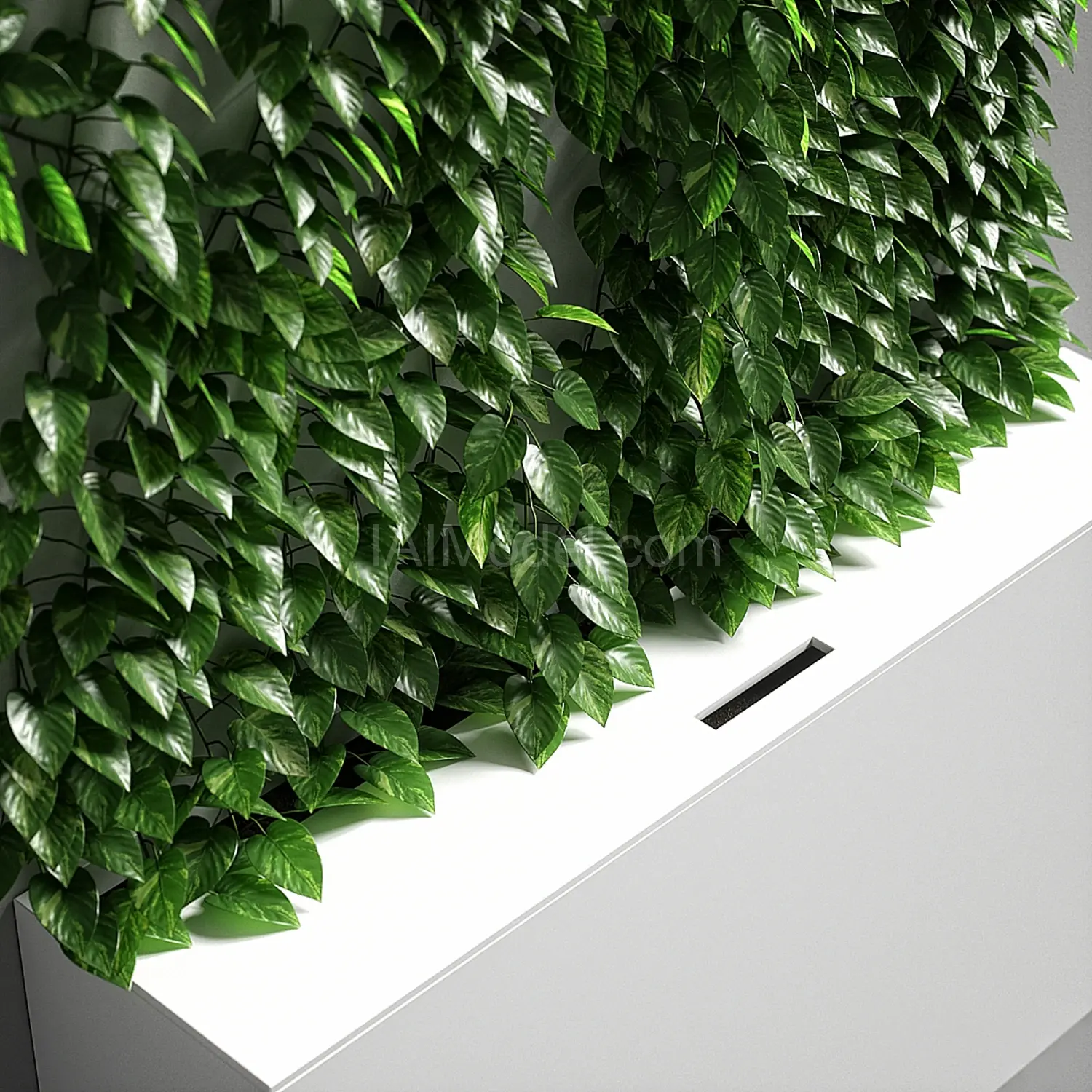 img2