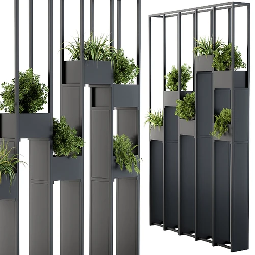植物分区