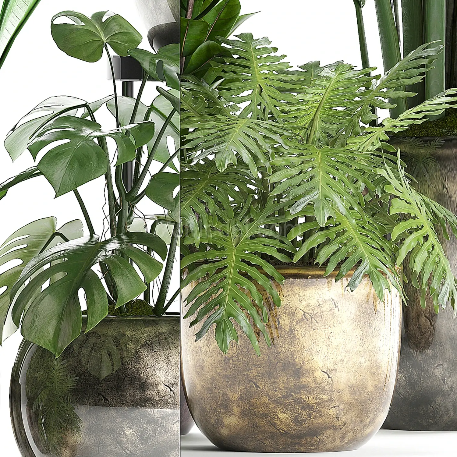 img2