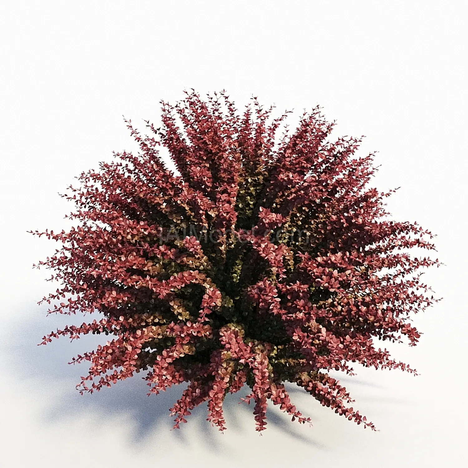 img2