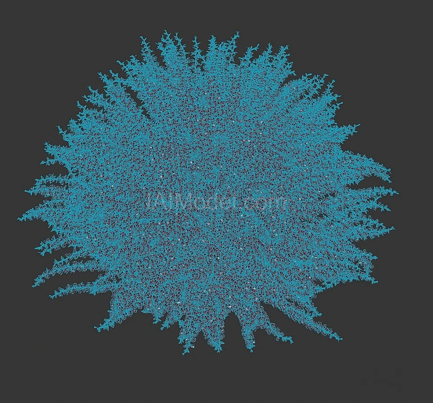 img3