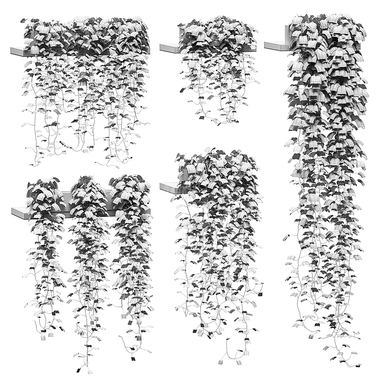 img2