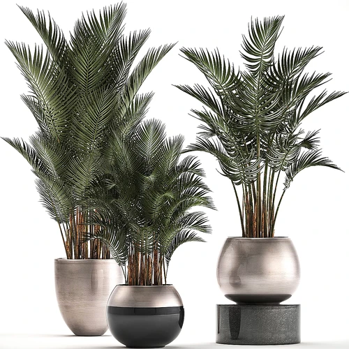 植物采集