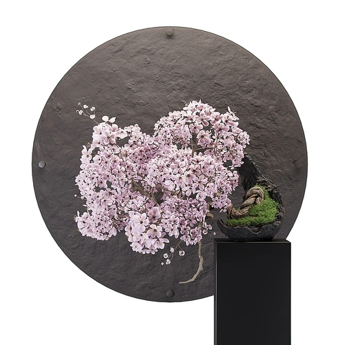 植物摆件