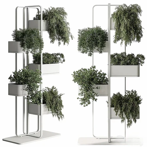 室内植物架