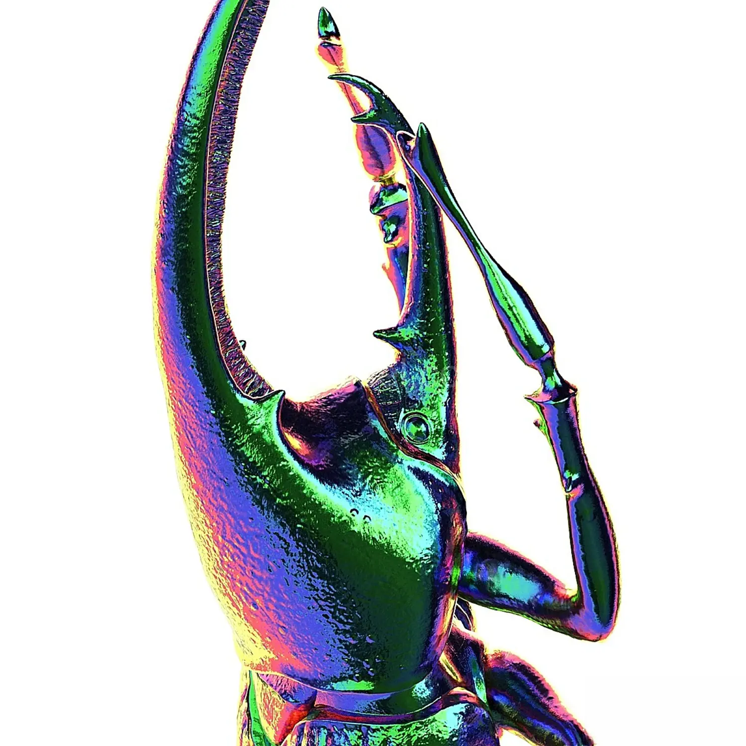 img3