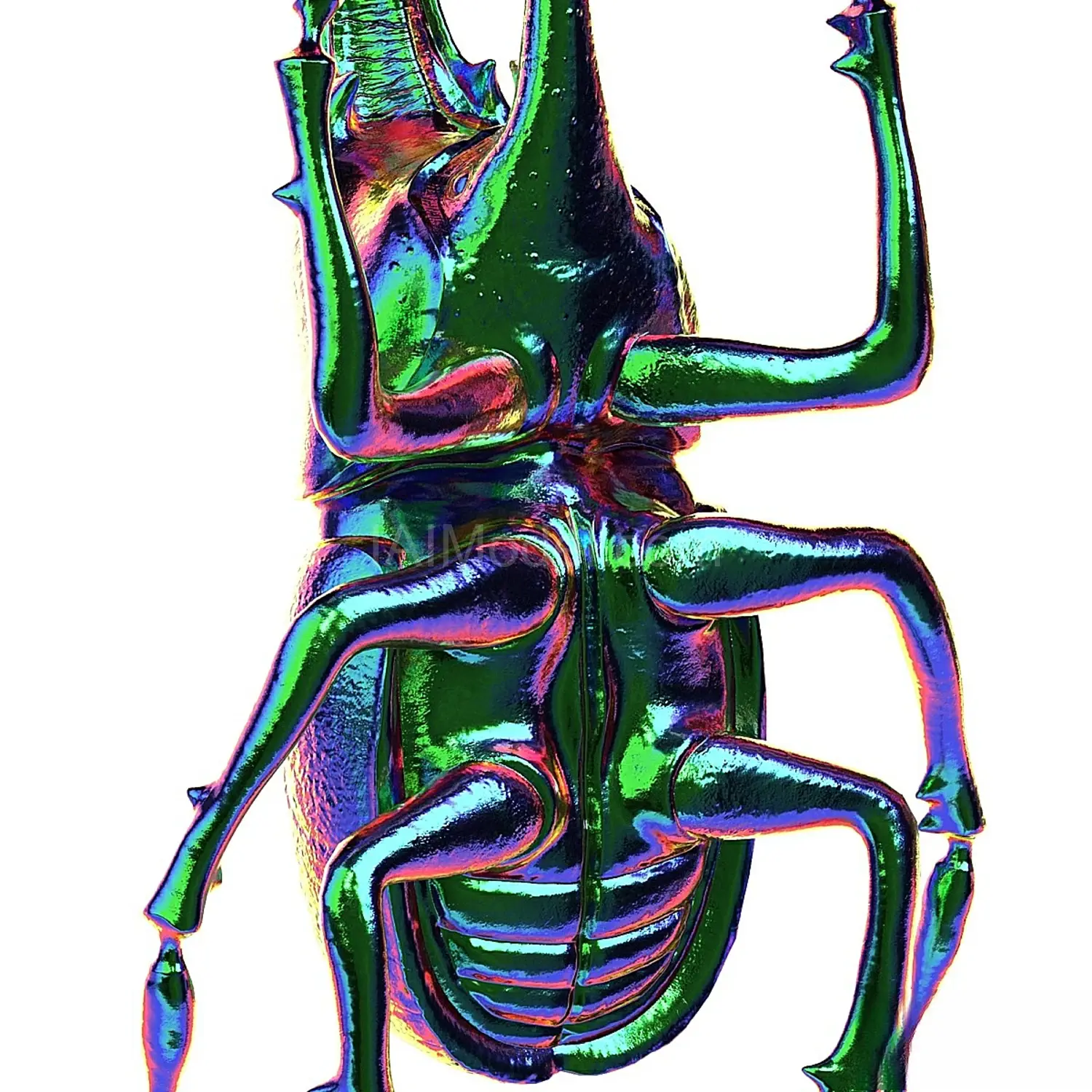 img4