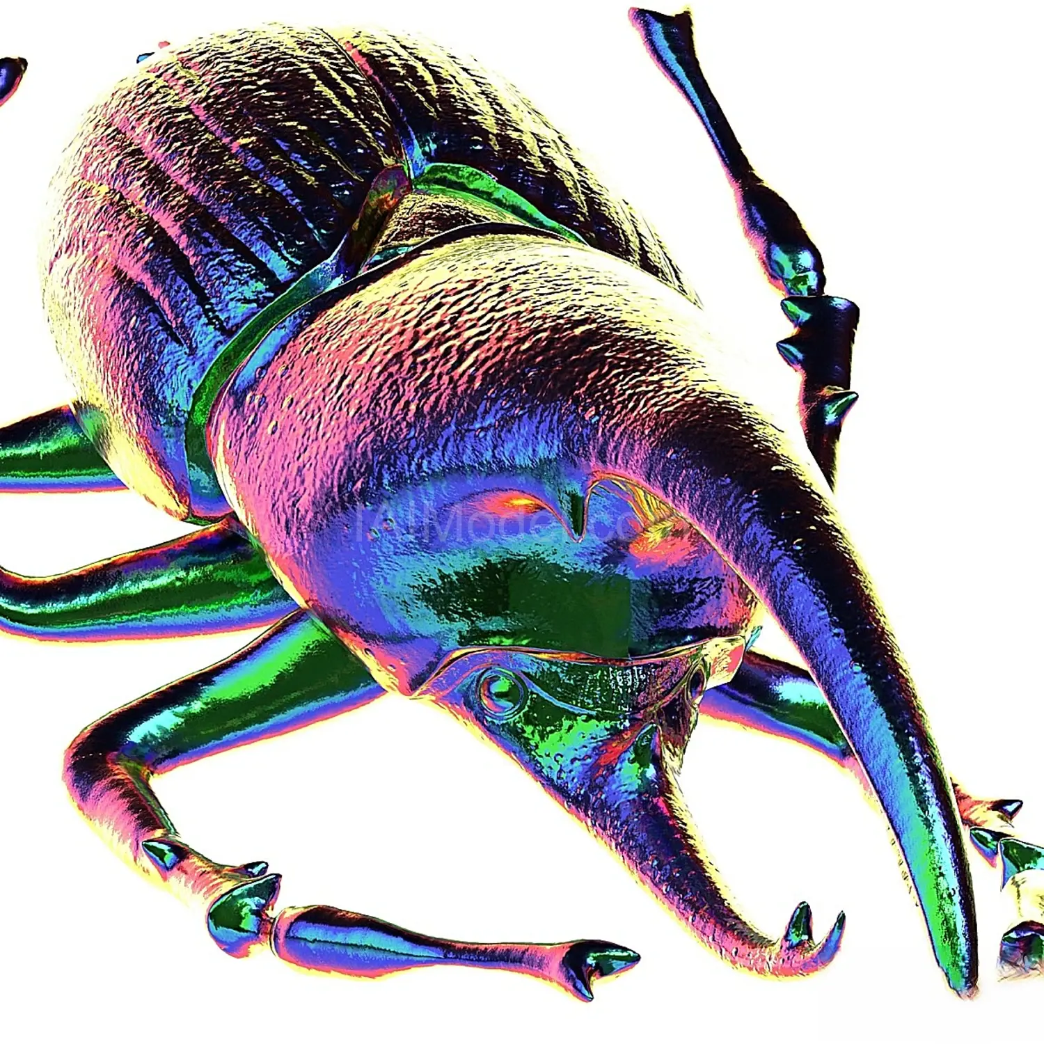 img5