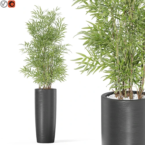 现代绿植盆栽