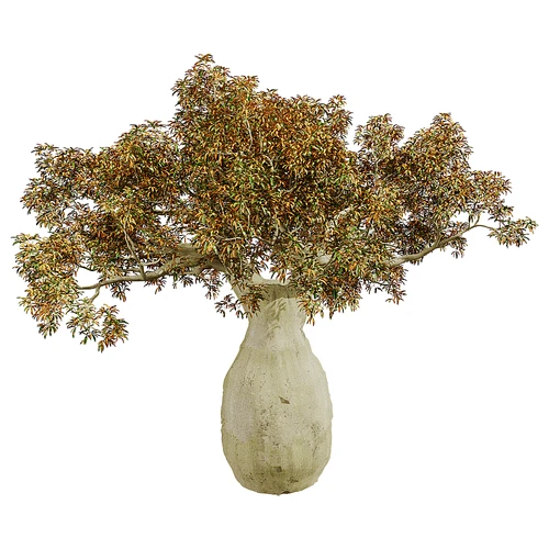 现代树景观树花草灌木植物