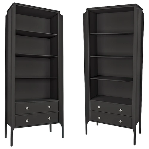Showcase-library 现代黑色书柜无镜