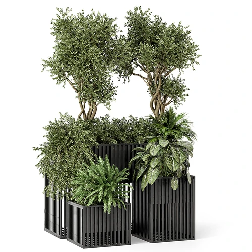 现代植物盆栽