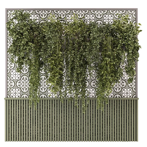 现代植物墙