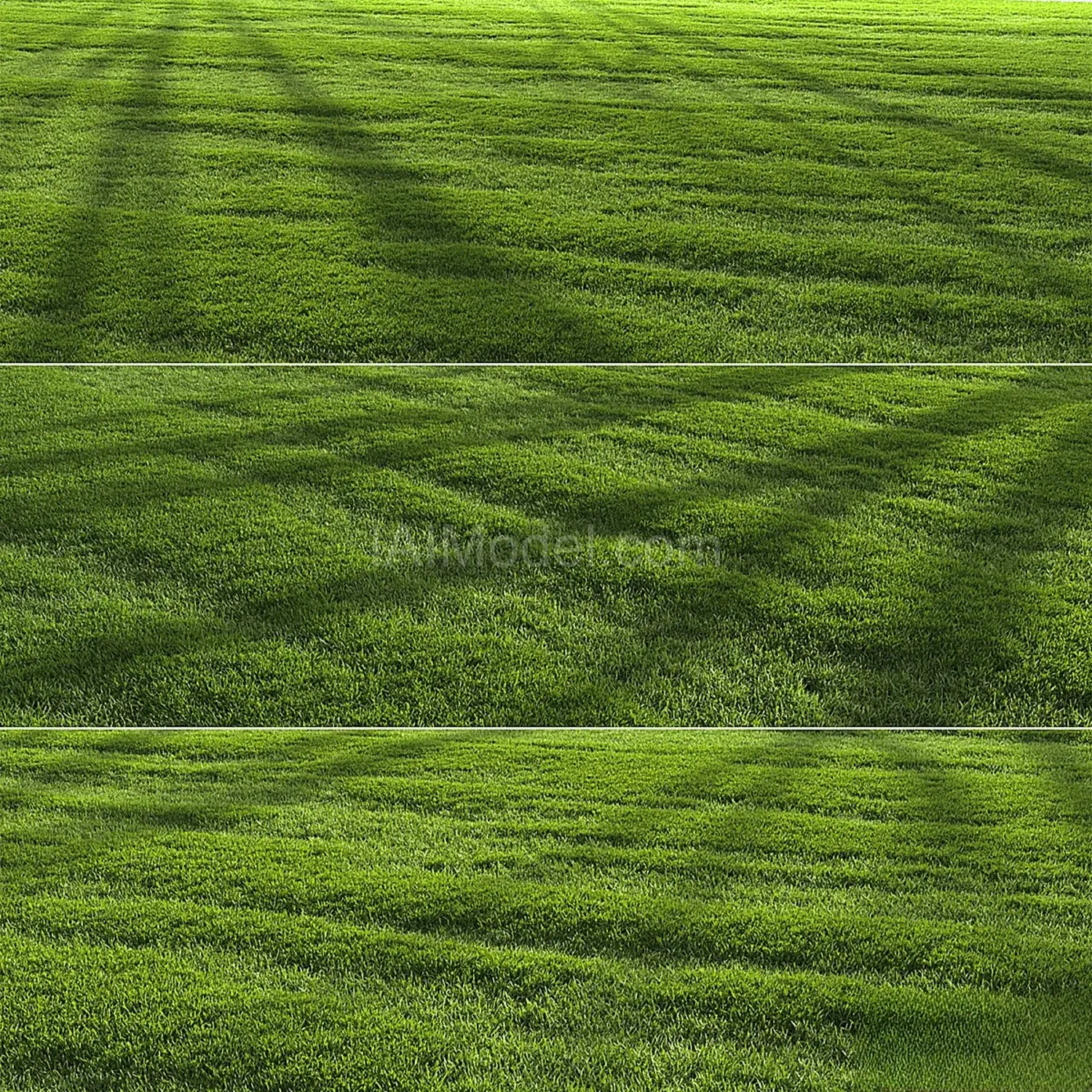 img1