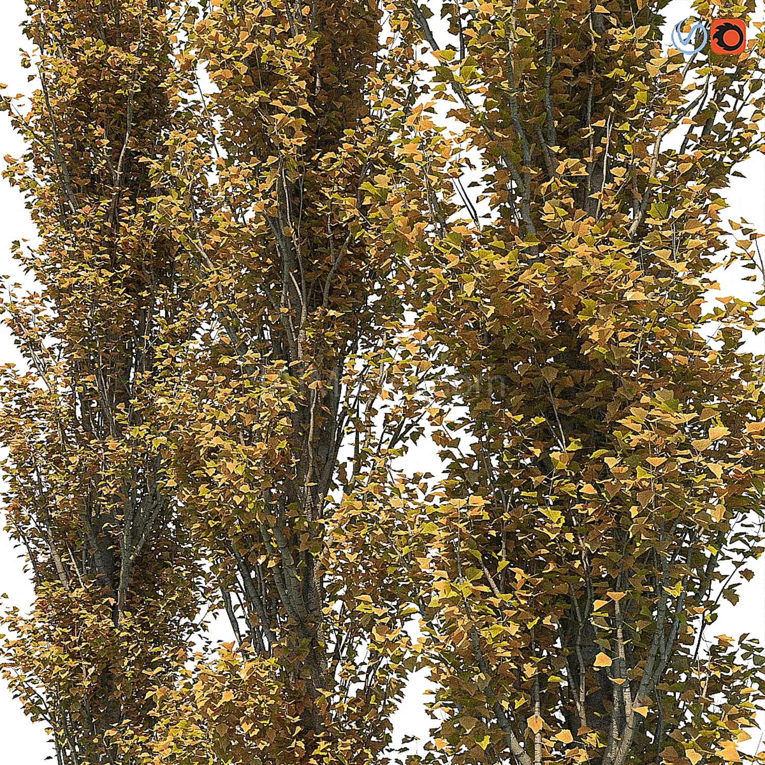 img2