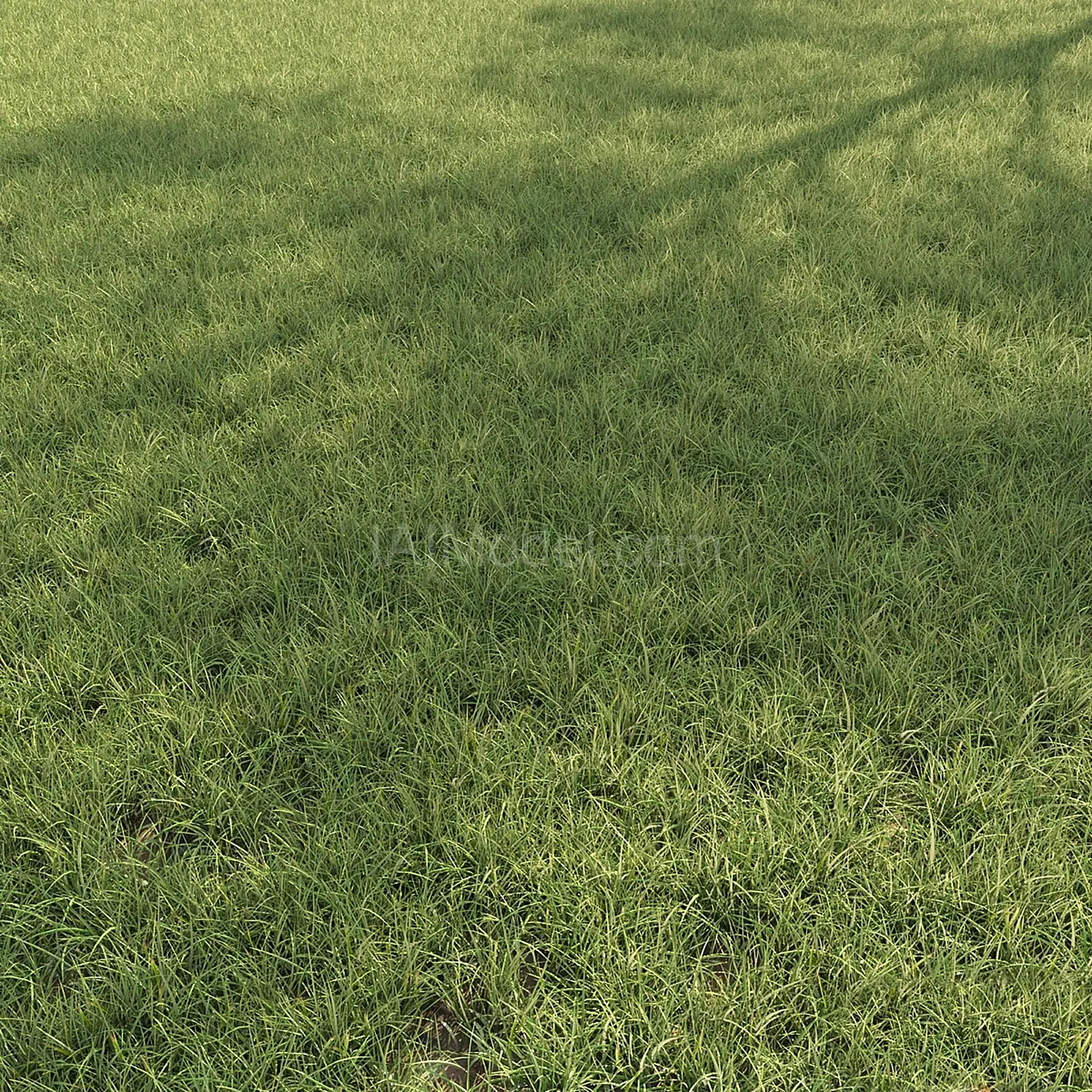 img1