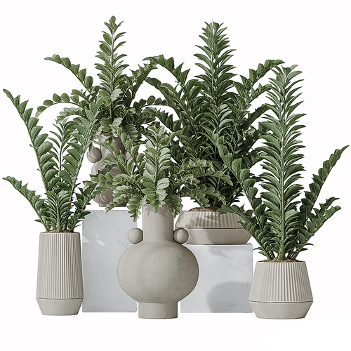现代植物盆栽组合