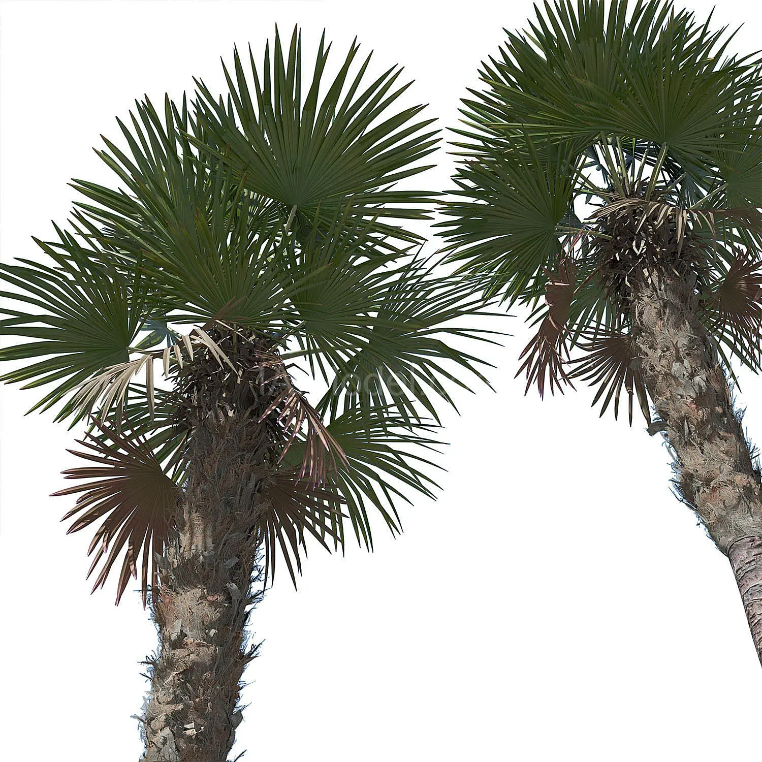 img2