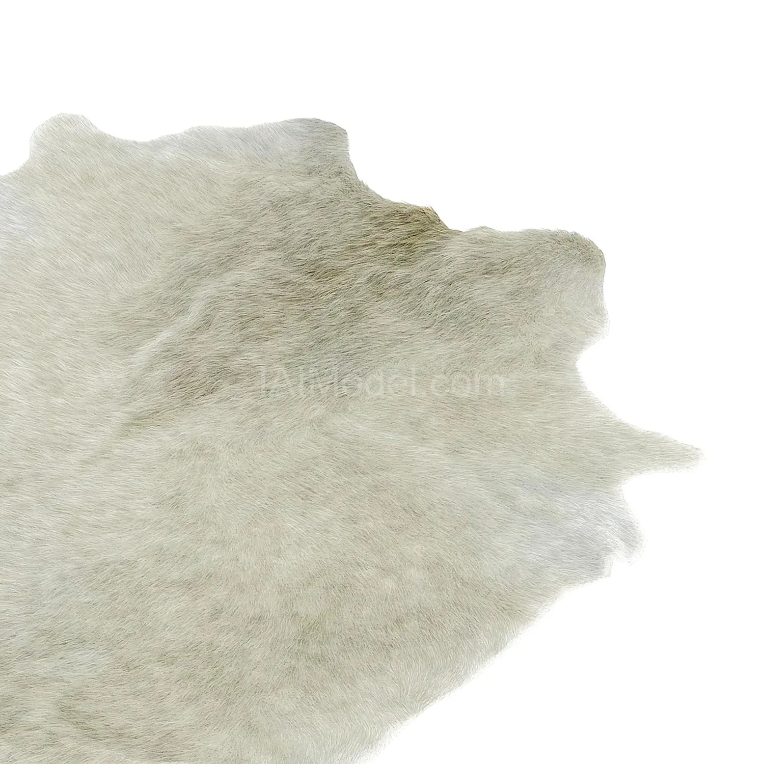 img2
