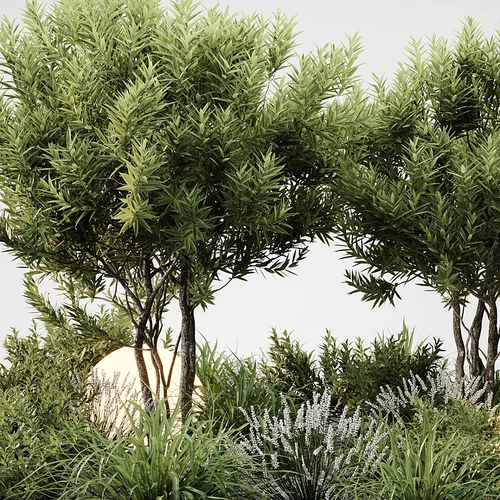 现代植物造景