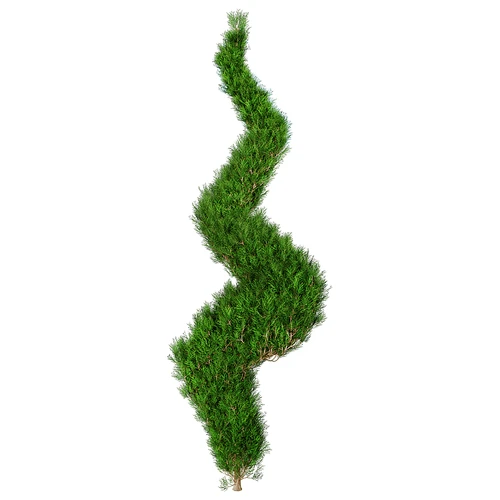 现代树景观树灌木植物