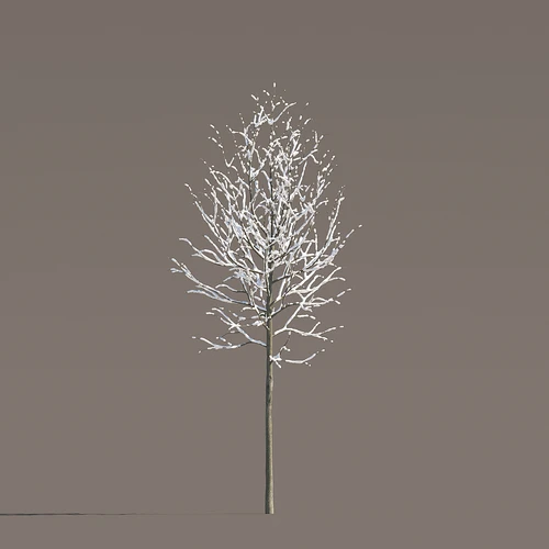现代雪景冬天树