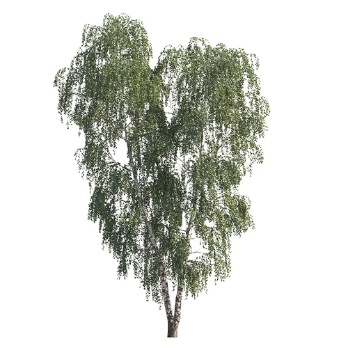 现代稀疏树