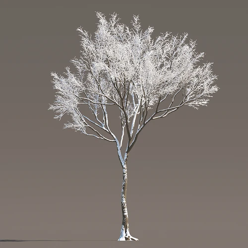 现代冬季雪树