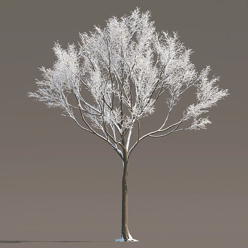 现代冬季雪树