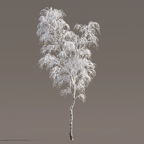 冬季雪景树