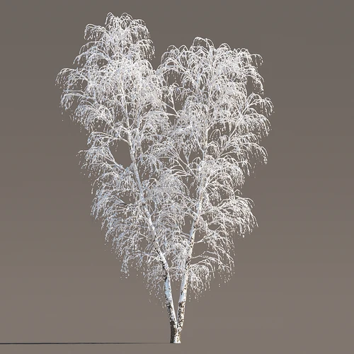 冬季雪景树
