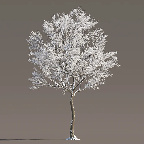 现代冬季雪树