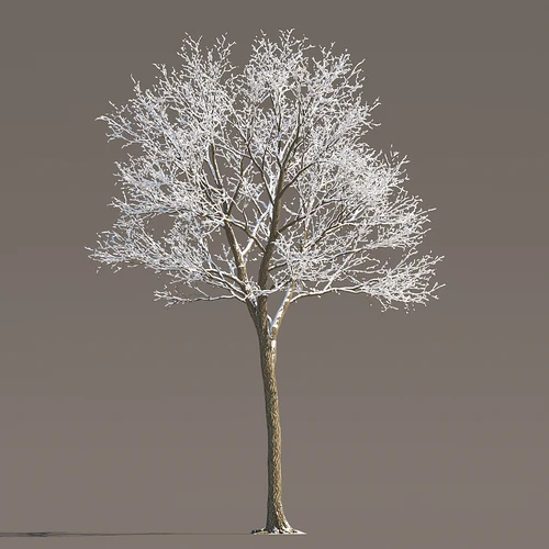 现代冬季雪树