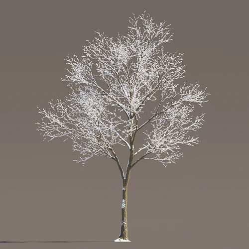 现代冬季雪树