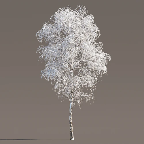 现代冬季雪树