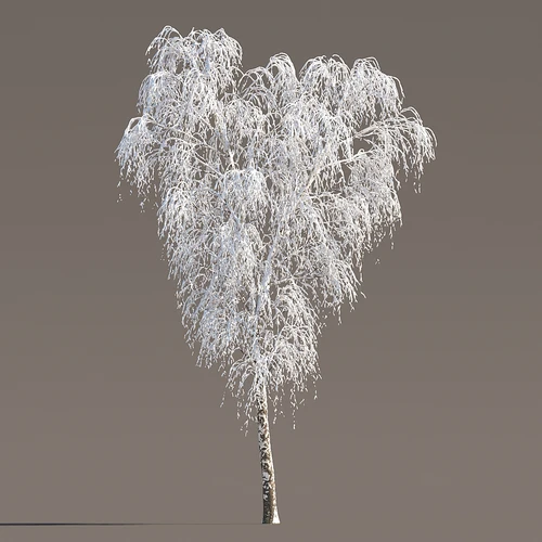 现代冬季雪树