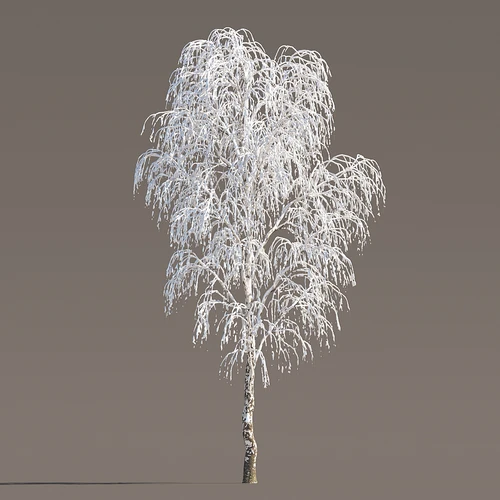 现代冬季雪树